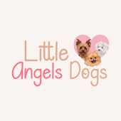 Little Angels Dogs